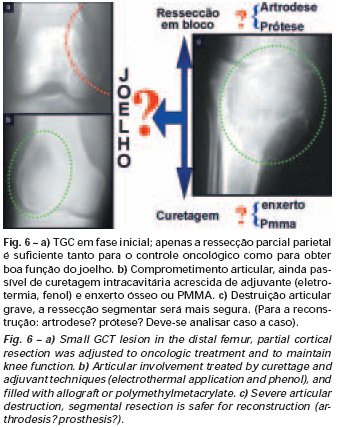 Figura 6